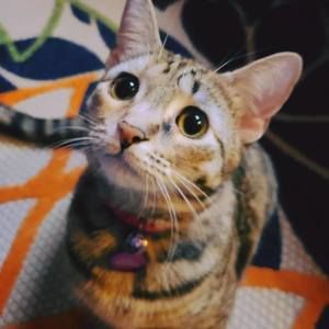 Meet your Posher, Christine